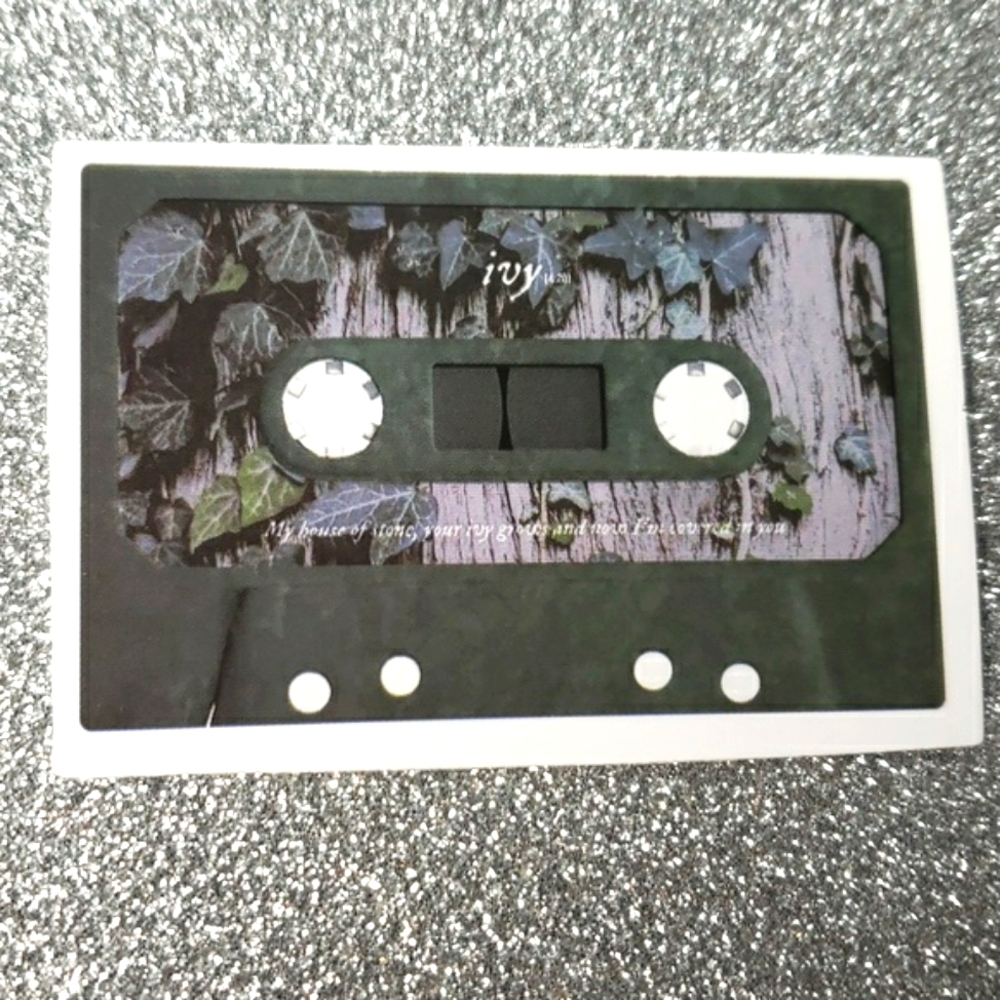 10/$10 Taylor Swift EVERMORE Waterproof Sticker Cassette Tape